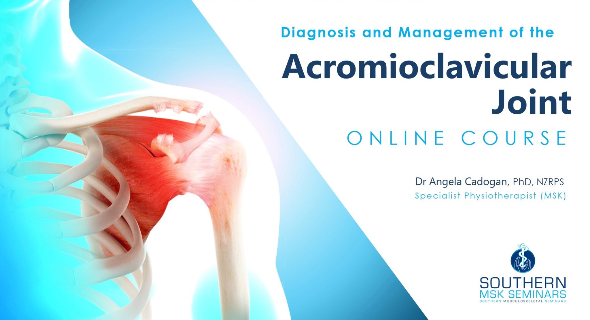 Acromioclavicular AC Joint