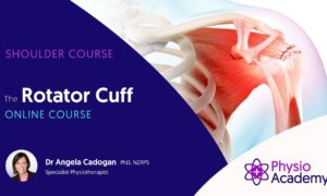 Cover for The rotator Cuff physiotherapy course