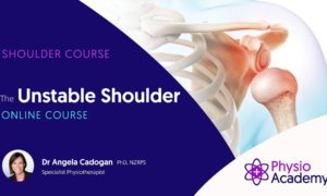 Cover for The unstable shoulder physiotherapy course