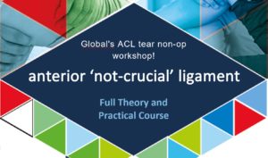Cover for Global Specialist Physiotherapy - Full ACL Tear Non-Op Workshop physiotherapy course
